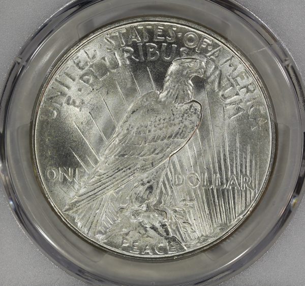 1923-D $1 Silver Peace Dollar PCGS MS62 - Image 5