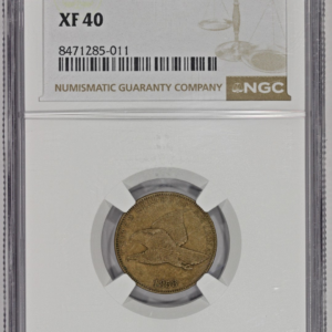 1858 1c Large Letters Flying Eagle Cent NGC XF40